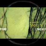 Acoustic Syndicate: Long Way Round, CD