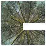 Sunken Foal: Fallen Arches, 2 LPs
