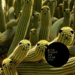 Luke Vibert: We Hear You, CD