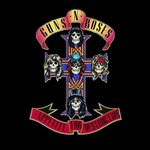 Guns N' Roses: Appetite For Destruction, CD