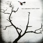 Airborne Toxic Event: The Airborne Toxic Event, CD
