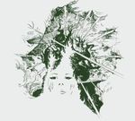 Crossover: Cryptic & Dire Sallow Faced Hoods..., CD