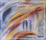 Siegfried Wagner (1869-1930): Rainulf und Adelasia, 3 CDs
