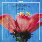 Antonio Vivaldi (1678-1741): Violinkonzerte 