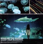 Bring Me The Horizon: Count Your Blessings (180g) (Ltd. Edition) (Colored Vinyl), LP