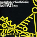 DJ Gregory & Gregor Salto: Con Alegria / Push In The Bush, Maxi-CD