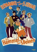 Der Hammel mit den fünf Beinen, DVD
