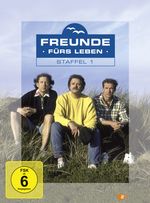 Freunde fürs Leben Staffel 1, 4 DVDs