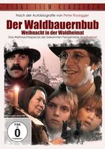 Der Waldbauernbub - Weihnacht in der Waldheimat, DVD