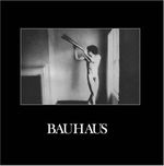 Bauhaus: In The Flat Field, 2 LPs