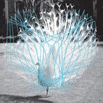T Ankersmit & Valerio Tricoli: Forma Ii, CD