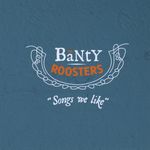 The Banty Roosters: Songs We Like, CD