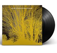 Nada Surf: The Stars Are Indifferent To Astronomy (180g), LP