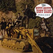 Nitty Gritty Dirt Band: Pure Dirt, CD