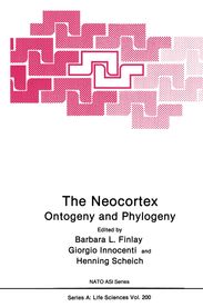 The Neocortex, Buch