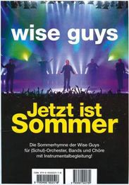 Wise Guys: Jetzt ist Sommer, Buch