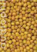 Zeitschriften: audiophil 22 LAND DER SEEN UND MEE(H)R, Zeitschrift