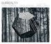 Dave Liebman & Lewis Porter: Surreality (Feat. Marc Ribot,Brad Jones,Chad Taylo, CD
