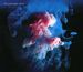 Pineapple Thief: All The Wars, CD