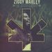 Ziggy Marley: In Concert 2012, CD