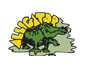 Alligator