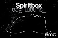 »Spiritbox: Tsunami Sea« auf CD. Auch auf Vinyl erhältlich.