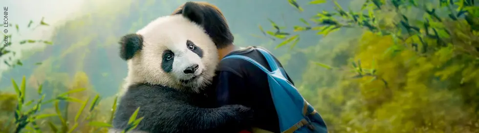 Ein Panda umarmt einen Menschen mit einem blauen Rucksack, umgeben von grünen Bambuszweigen und einem bewaldeten Hintergrund.