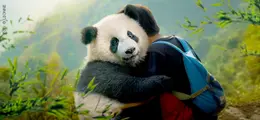 Ein Panda umarmt einen Menschen mit einem blauen Rucksack, umgeben von grünen Bambuszweigen und einem bewaldeten Hintergrund.
