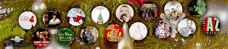 Verschiedene Weihnachtsmotive und Logos auf Christbaumkugeln, umgeben von grünen Tannenzweigen.