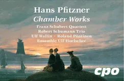 "Hans Pfitzner Chamber Works, Franz Schubert Quartett, Robert Schumann Trio, Ulf Wallin u. a., cpo". Illustration: Drei Personen am Meer bei Sonnenuntergang.