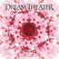 "DREAM THEATER", rotes Emblem und "LIVE IN TOKYO, 2010". Rosa Kirschblüten in symmetrischem Muster.