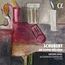 Texte: SCHUBERT DIE SCHÖNE MÜLLERIN, GEORG NIGL, ALEXANDER GERGELYFI, TAFELKLAVIER. Illustration: Abstrakte Formen und Farben.