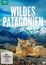 Wildes Patagonien, DVD