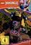 "LEGO NINJAGO DRAGONS RISING STAFFEL 17.2", Illustration von Figuren in Rüstung. FSK 6 Logo, LEONINE KIDS.