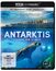 Antarktis - Leben am Limit (Ultra HD Blu-ray)