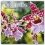 „ORCHIDS 2027 Calendar“ steht oben auf dem Bild. Darunter sind rosa-weiße Orchideen mit gelbem Zentrum abgebildet.