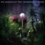 Emil Brandqvist: Entering The Woods (180g) (Limited Edition) (signiert, exklusiv für jpc!), LP
