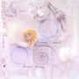Acoustic Alchemy: Natural Elements, CD