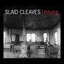 Slaid Cleaves: Unsung, CD, CD