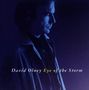 David Olney: Eye Of The Storm, CD, CD
