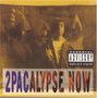 Tupac Shakur: 2Pacalypse Now, CD