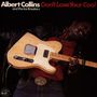 Albert Collins: Don't Lose Your Cool, CD, CD