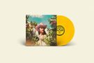 "Duane Betts: Wild & Precious Life" in Großbuchstaben. Eine gelbe Vinylplatte neben einem Albumcover mit Cowboyhut-Motiv.