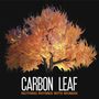 Carbon Leaf: Nothing Rhymes With Woman, CD, CD