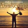 "BRIAN BROMBERG Awakening" steht im Vordergrund. Eine Silhouette mit ausgebreiteten Armen hält eine Gitarre vor einem Sonnenuntergang am Meer., CD