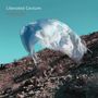 Yuhan Su: Liberated Gesture, CD, CD