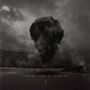 Trivium: In Waves (Limited Edition) (Gold Vinyl), 2 LPs, 2 LPs