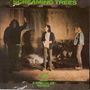 Screaming Trees: Even If And Especially When, LP, LP