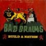 Bad Brains: Build A Nation, LP, LP