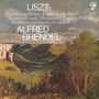 Franz Liszt (1811-1886): Klavierwerke (180g), LP